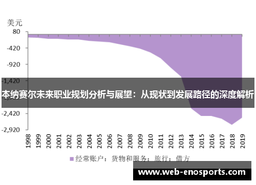 本纳赛尔未来职业规划分析与展望：从现状到发展路径的深度解析