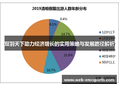 双羽天下助力经济增长的实用策略与发展路径解析