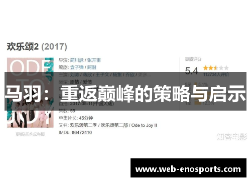 马羽：重返巅峰的策略与启示