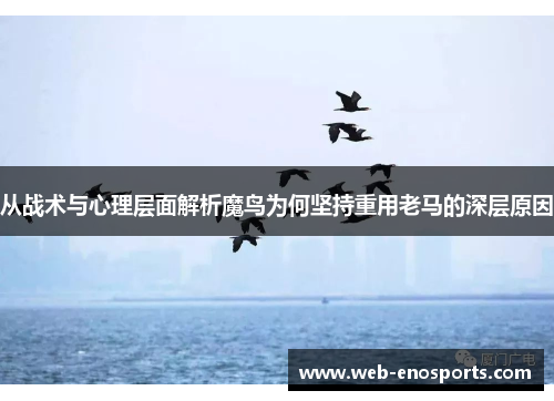 从战术与心理层面解析魔鸟为何坚持重用老马的深层原因