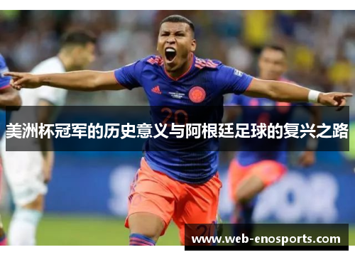 美洲杯冠军的历史意义与阿根廷足球的复兴之路